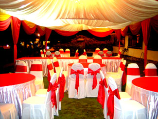 Dyanas Canopy